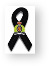 Stacks Image 11336630